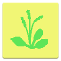 simple plant list