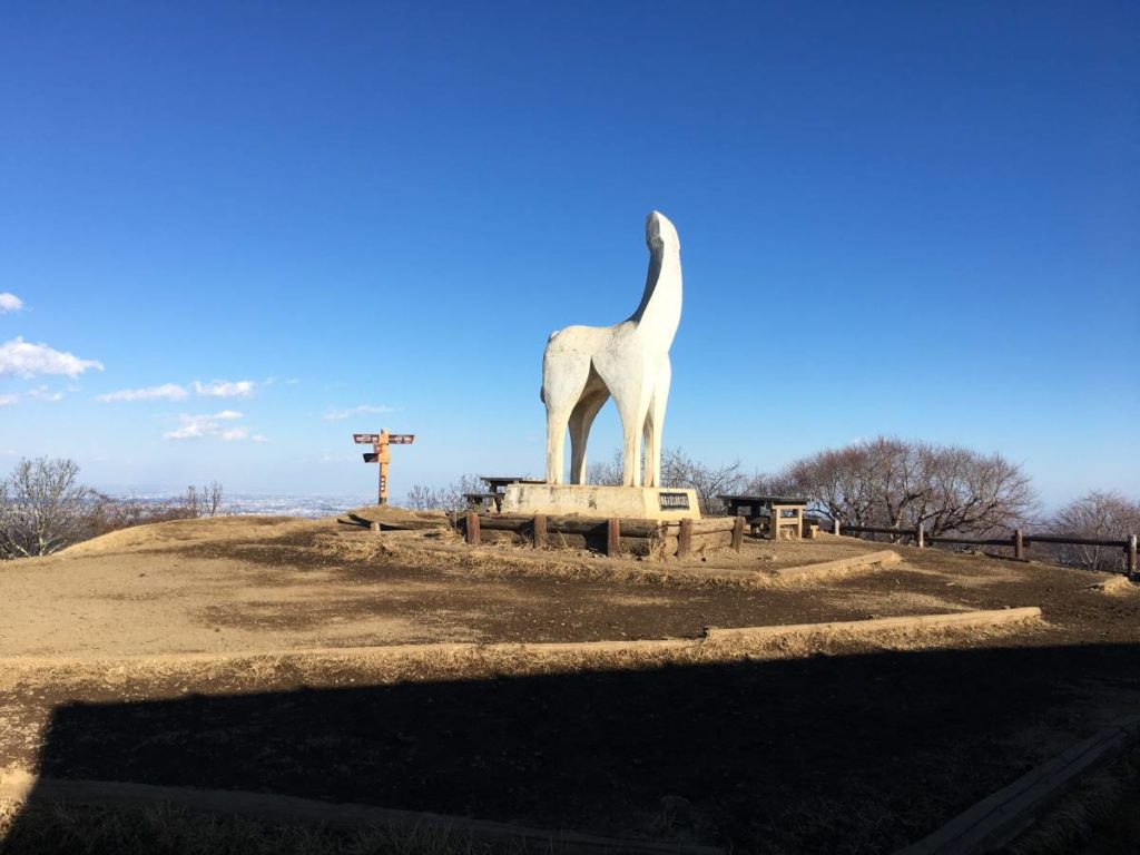 陣馬山山頂